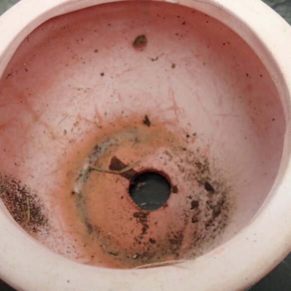 Flower Pot - Picture 4 of 6